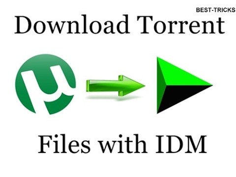 Internet Download Manager Torrent